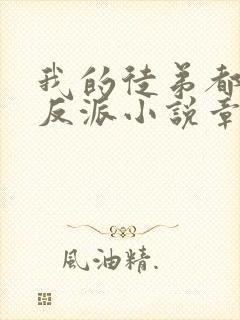 我的徒弟都是大反派小说章节目录