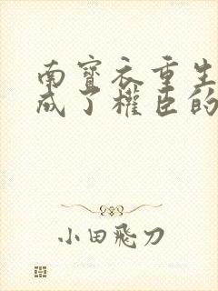 南宝衣重生后我成了权臣的掌中娇