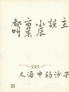 都市小说主人公叫叶辰