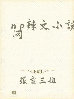 n p辣文小说网