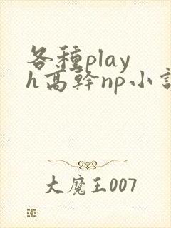 各种play h高干np小说