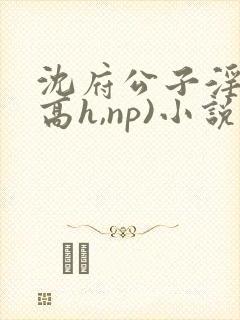 沈府公子淫史(高h,np)小说