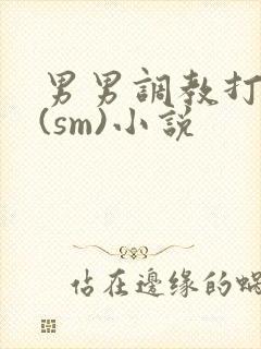 男男调教打屁股(sm)小说
