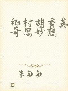 乡村胡秀英小雷奇思妙想封面