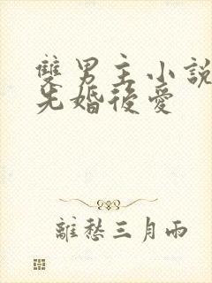 双男主小说推荐先婚后爱封面