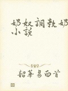 奶奴调教奶头的小说