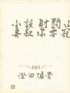 小说 财阀小娇妻叔你要宠坏我封面