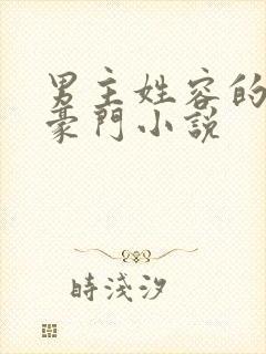 男主姓容的现代豪门小说