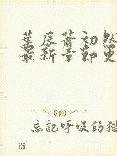 叶辰萧初然全部最新章节更新封面