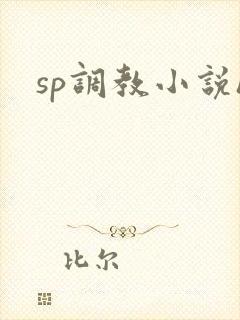 sp调教小说h