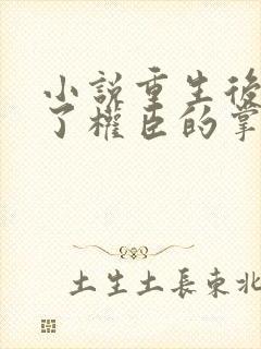 小说重生后我成了权臣的掌中娇