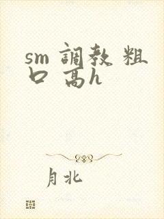 sm 调教 粗口 高h