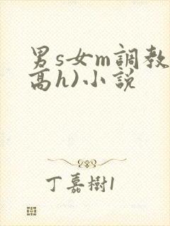 男s女m调教(高h)小说