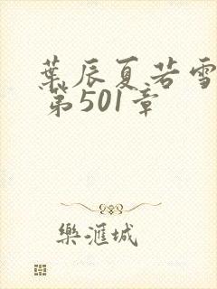 叶辰夏若雪孙怡 第501章