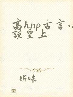 高hnp古言小说皇上