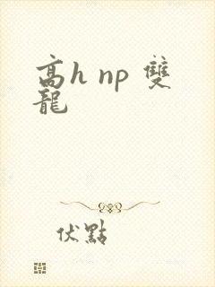 高h np 双龙
