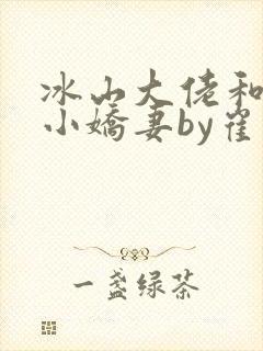 冰山大佬和他的小娇妻by崔博陵小说