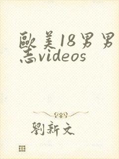 欧美18男男同志videos