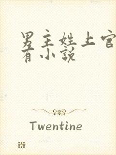 男主姓上官的所有小说