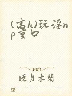 (高h)玩淫np重口