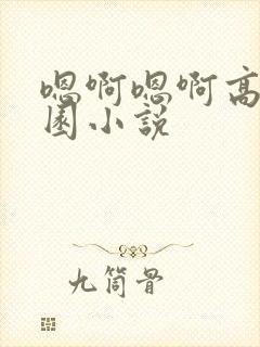 嗯啊嗯啊高h校园小说