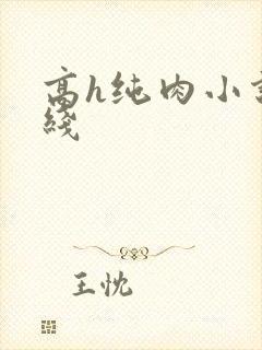 高h纯肉小说在线