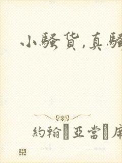 小骚货,真骚h封面