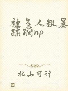 被多人粗暴进入蹂躏np