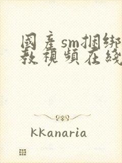 国产sm捆绑调教视频在线观看