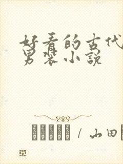 好看的古代女扮男装小说