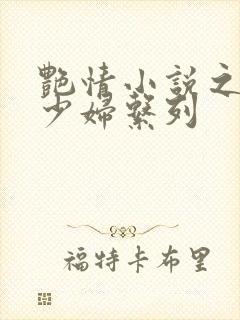 艳情小说之调教少妇系列封面