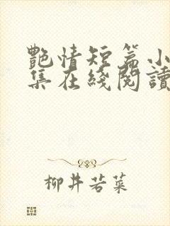 艳情短篇小说合集在线阅读封面