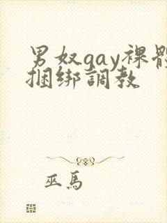 男奴gay裸体捆绑调教封面