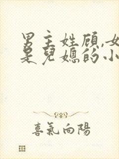 男主姓顾,女主是儿媳的小说