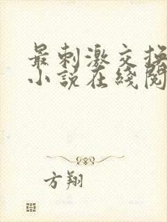 最刺激交换夫妇小说在线阅读