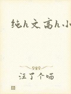 纯h文高h小说