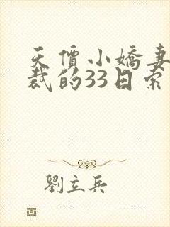 天价小娇妻 总裁的33日索情