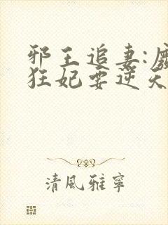 邪王追妻:废材狂妃要逆天