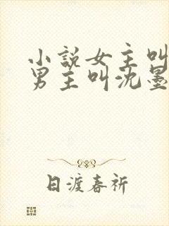 小说女主叫苏桃男主叫沈墨尘