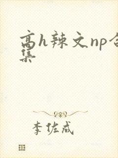高h辣文np合集