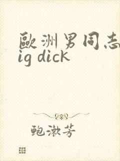 欧洲男同志 big dick