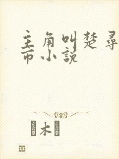 主角叫楚寻的都市小说