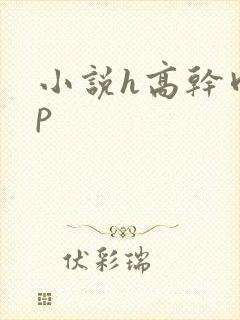 小说h高干肉np