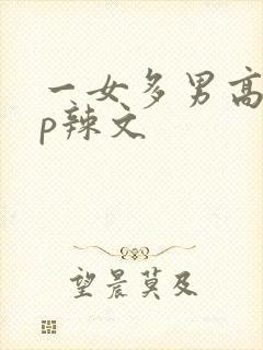 一女多男高hnp辣文