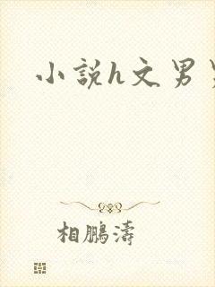 小说h文男男