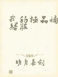 我的极品娇妻完结版