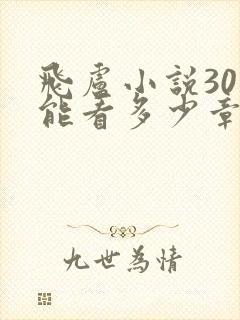 飞卢小说30元能看多少章