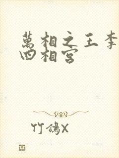 万相之王李洛第四相宫封面