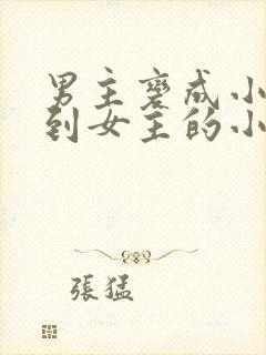 男主变成小孩遇到女主的小说