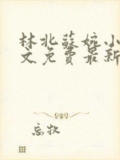 林北苏婉小说全文免费最新